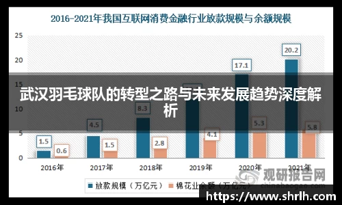 武汉羽毛球队的转型之路与未来发展趋势深度解析