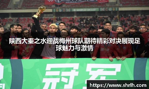 BSports网页版